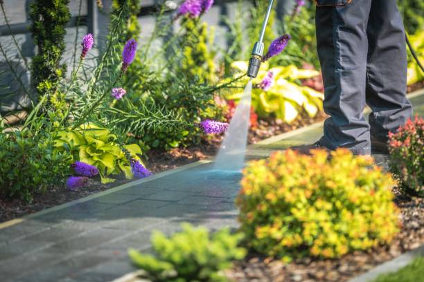 North Wilkesboro, NC Pressure Washing Services Company